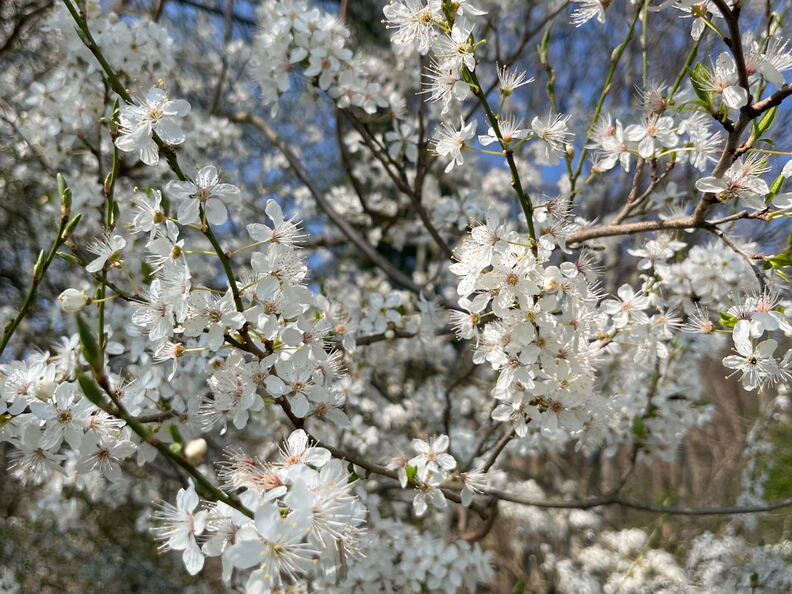 AA4CB430-A219-499B-9761-D89E8FAEE200-22244-000004E61DCB245D